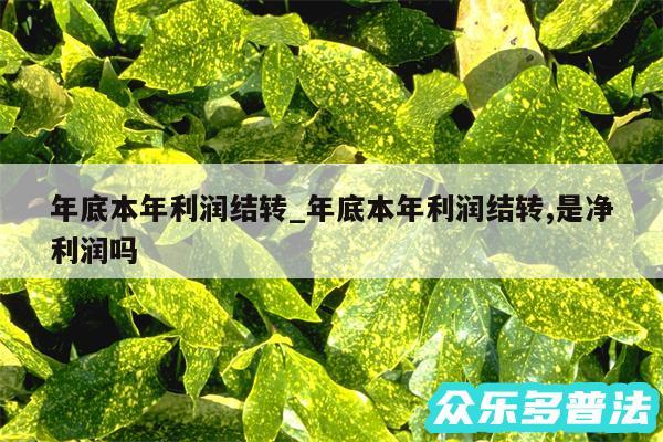 年底本年利润结转_年底本年利润结转,是净利润吗