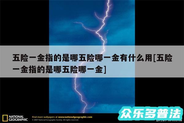 五险一金指的是哪五险哪一金有什么用及五险一金指的是哪五险哪一金