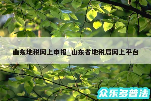 山东地税网上申报_山东省地税局网上平台