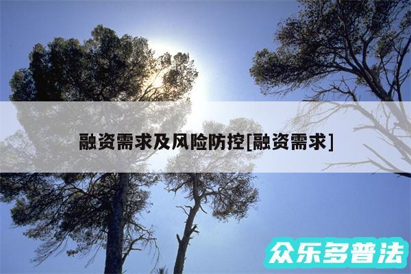 融资需求及风险防控及融资需求