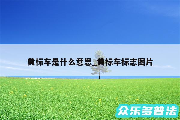 黄标车是什么意思_黄标车标志图片