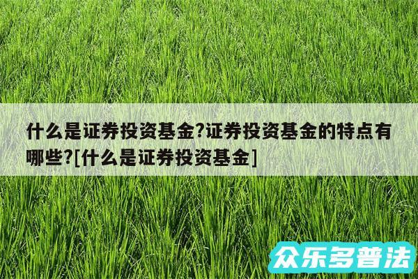 什么是证券投资基金?证券投资基金的特点有哪些?及什么是证券投资基金