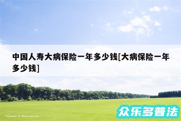 中国人寿大病保险一年多少钱及大病保险一年多少钱