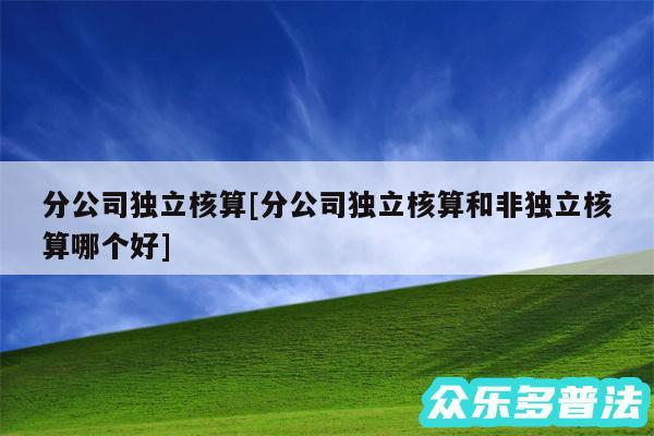 分公司独立核算及分公司独立核算和非独立核算哪个好