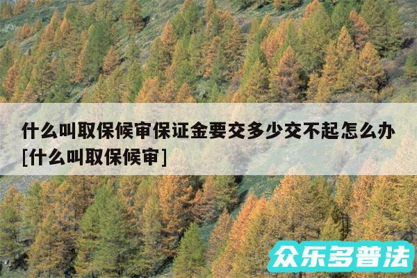 什么叫取保候审保证金要交多少交不起怎么办及什么叫取保候审