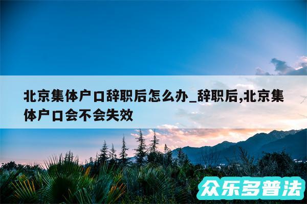 北京集体户口辞职后怎么办_辞职后,北京集体户口会不会失效