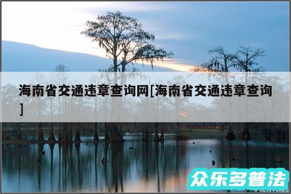 海南省交通违章查询网及海南省交通违章查询