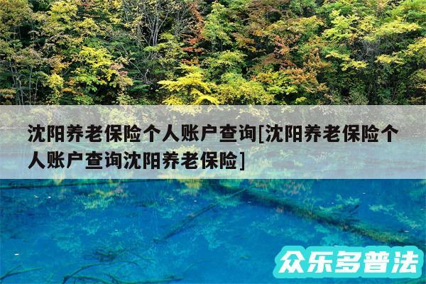 沈阳养老保险个人账户查询及沈阳养老保险个人账户查询沈阳养老保险