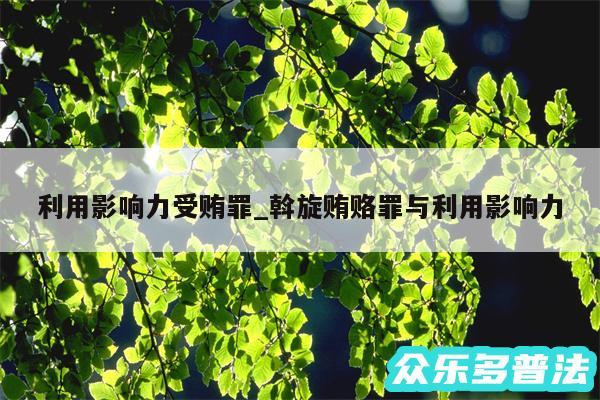 利用影响力受贿罪_斡旋贿赂罪与利用影响力