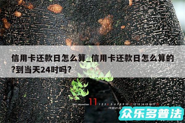 信用卡还款日怎么算_信用卡还款日怎么算的?到当天24时吗?