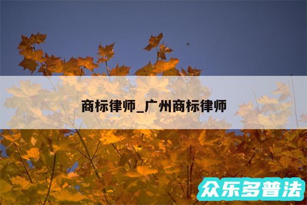 商标律师_广州商标律师