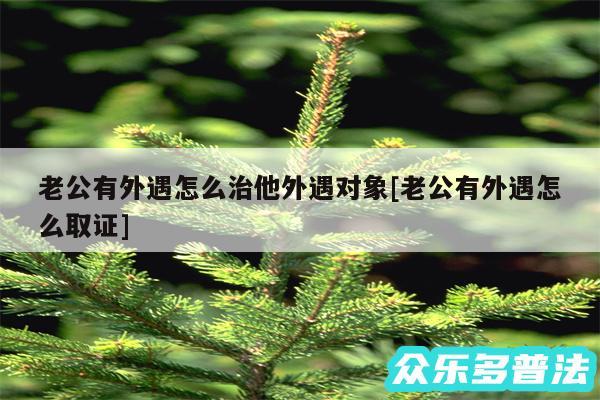 老公有外遇怎么治他外遇对象及老公有外遇怎么取证