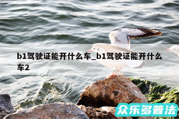 b1驾驶证能开什么车_b1驾驶证能开什么车2