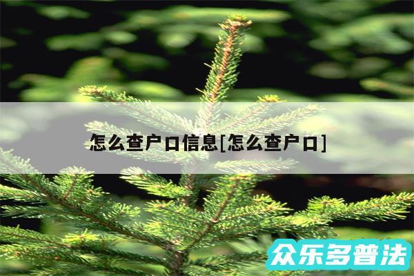 怎么查户口信息及怎么查户口