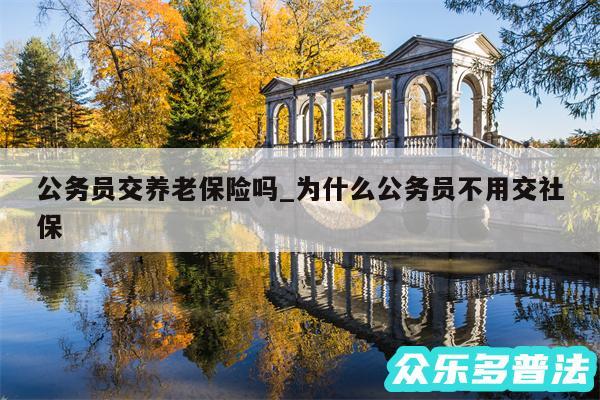 公务员交养老保险吗_为什么公务员不用交社保
