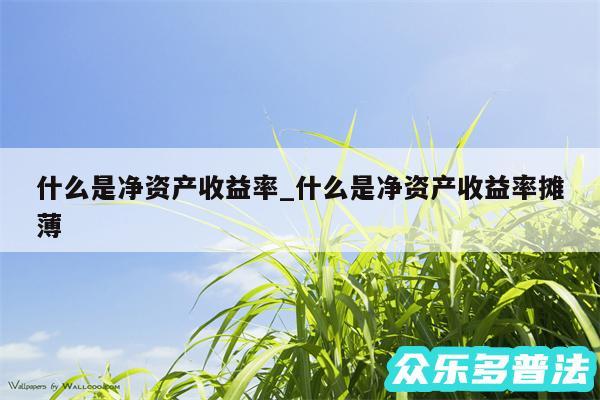 什么是净资产收益率_什么是净资产收益率摊薄