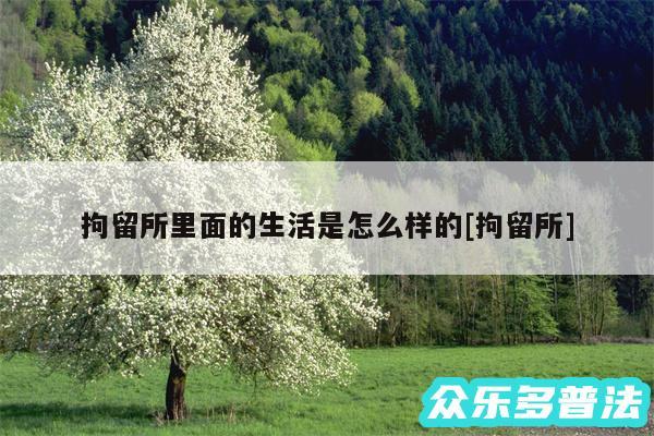 拘留所里面的生活是怎么样的及拘留所