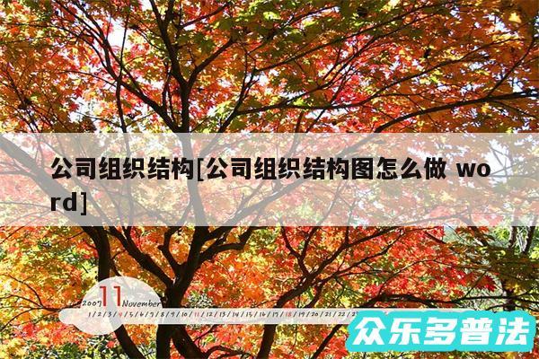 公司组织结构及公司组织结构图怎么做 word