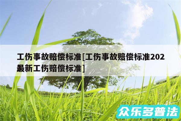 工伤事故赔偿标准及工伤事故赔偿标准2024
最新工伤赔偿标准