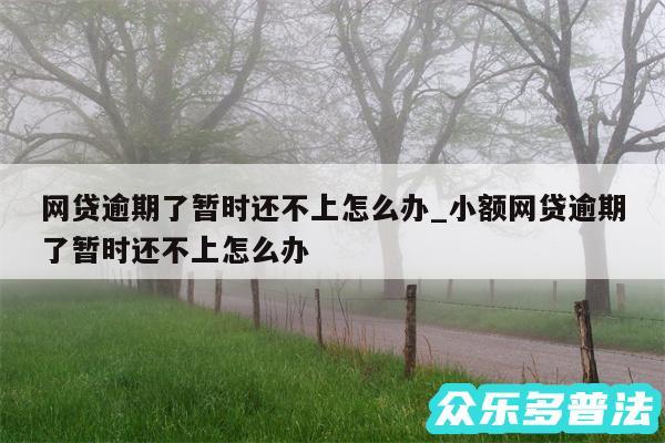 网贷逾期了暂时还不上怎么办_小额网贷逾期了暂时还不上怎么办