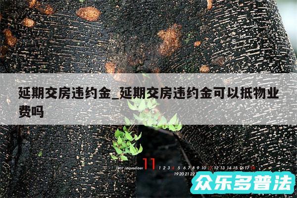 延期交房违约金_延期交房违约金可以抵物业费吗