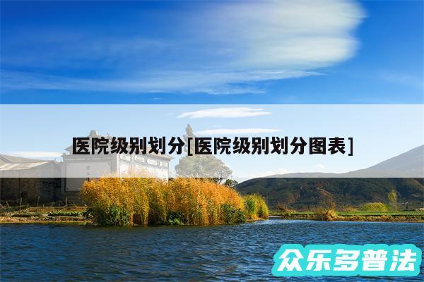 医院级别划分及医院级别划分图表