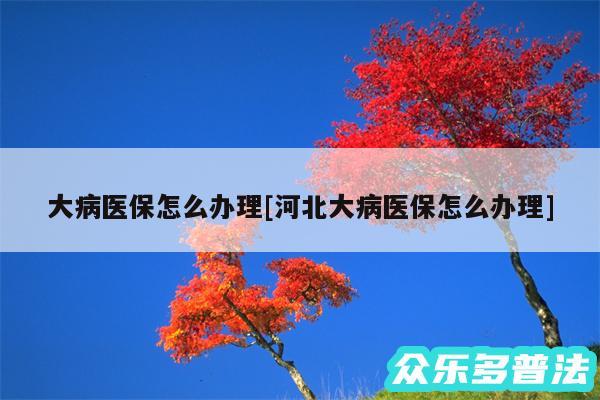 大病医保怎么办理及河北大病医保怎么办理