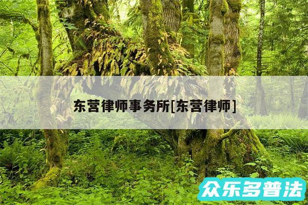 东营律师事务所及东营律师