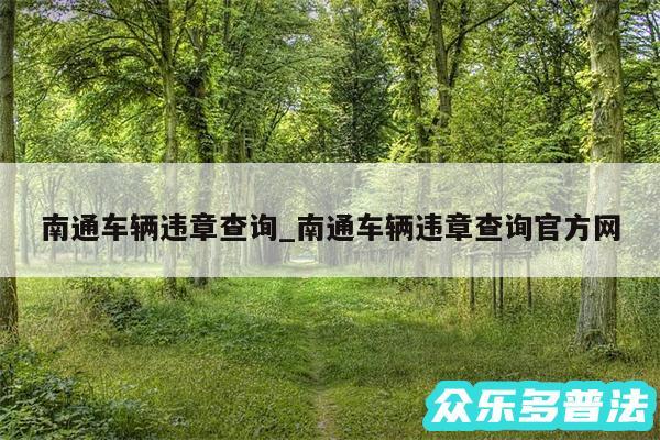 南通车辆违章查询_南通车辆违章查询官方网