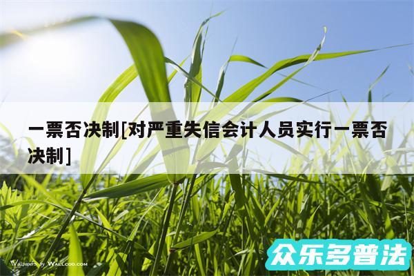 一票否决制及对严重失信会计人员实行一票否决制