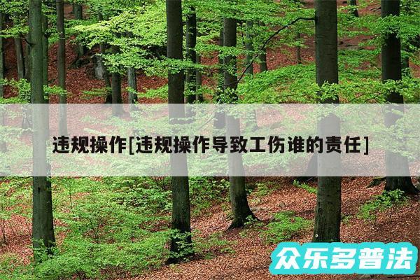 违规操作及违规操作导致工伤谁的责任