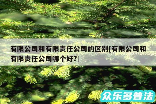 有限公司和有限责任公司的区别及有限公司和有限责任公司哪个好?