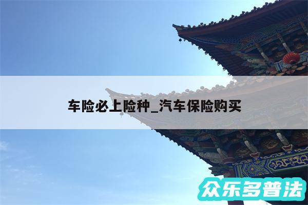 车险必上险种_汽车保险购买