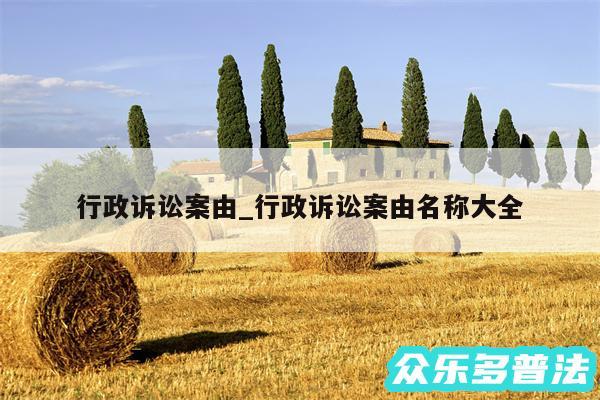 行政诉讼案由_行政诉讼案由名称大全