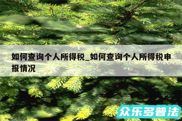 如何查询个人所得税_如何查询个人所得税申报情况