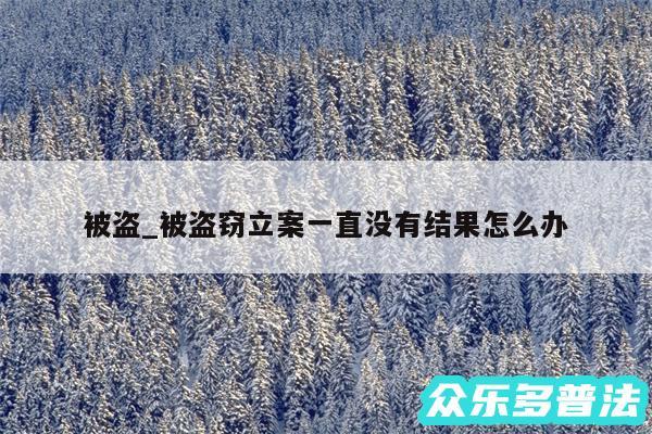 被盗_被盗窃立案一直没有结果怎么办