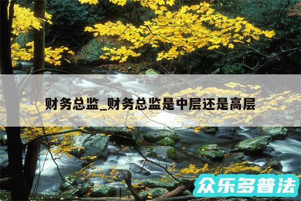 财务总监_财务总监是中层还是高层