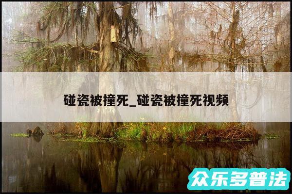 碰瓷被撞死_碰瓷被撞死视频