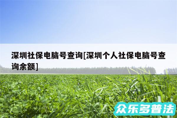 深圳社保电脑号查询及深圳个人社保电脑号查询余额